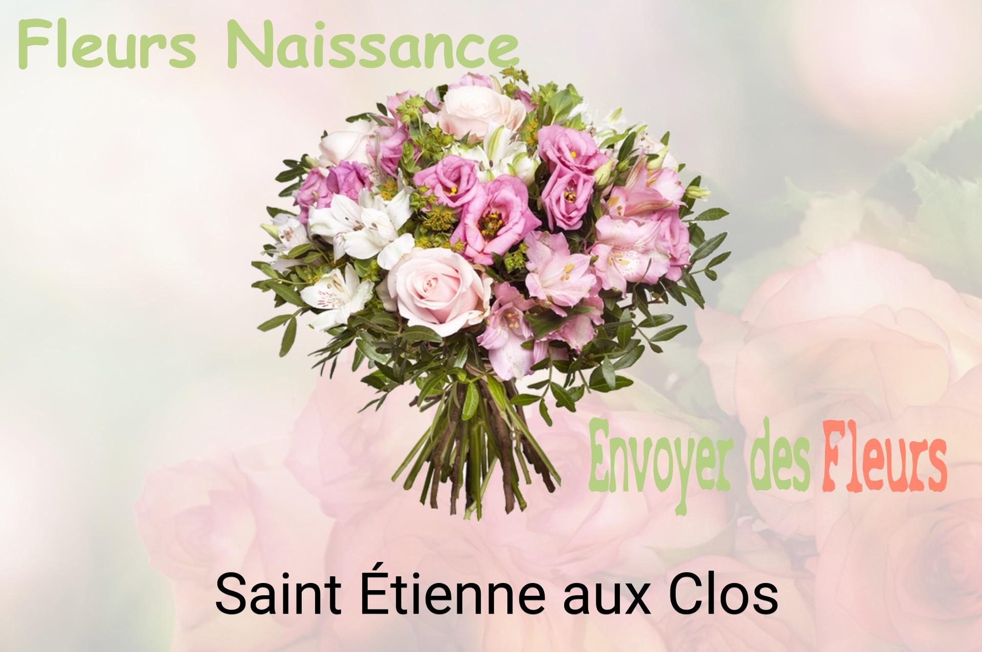 Bouquet de fleurs de naissance livré à Saint-Étienne-aux-Clos